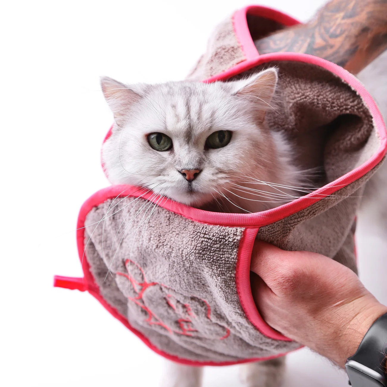Green Fiber Pet Fiber for Animals, 68 x 25 cm